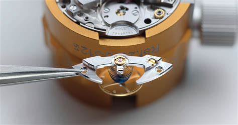 manutenzione rolex|il vostro rolex.